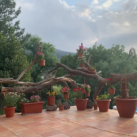 Vacanze Sicilia, Con Piscina Con Vista Mare E Porto Di Cefalu فيلة *